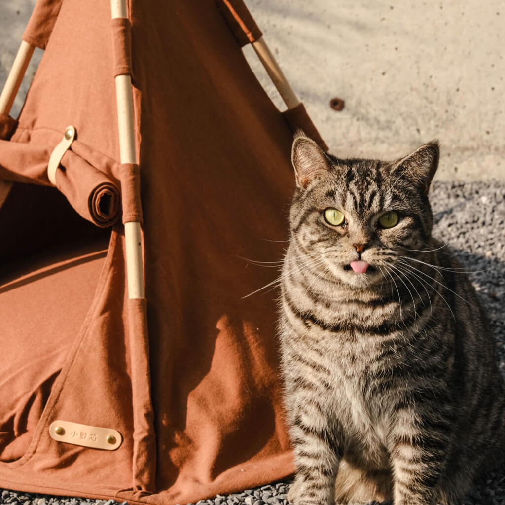 mini tents for cats Boho Chic Pet Tent for Cats and Small Dogs – Pewos
