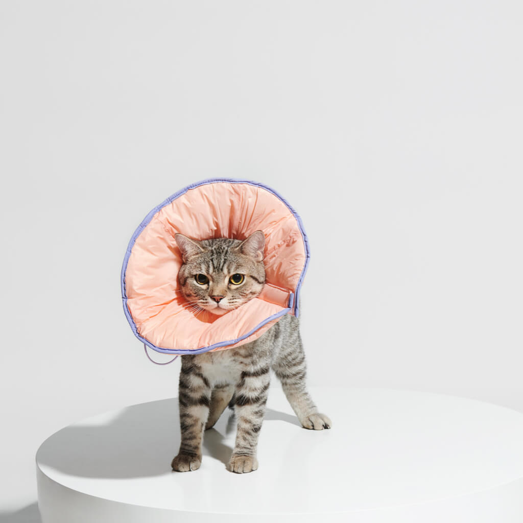 Reversible Padded Pet Recovery E Collar Seashell Pink and Iris Purpl Pewos