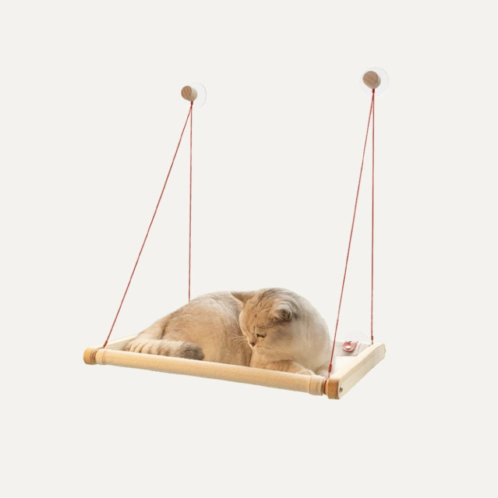 Cat hammock suction cups deals