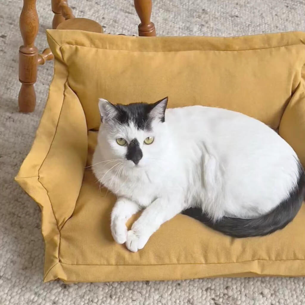 Mustard dog bed shop
