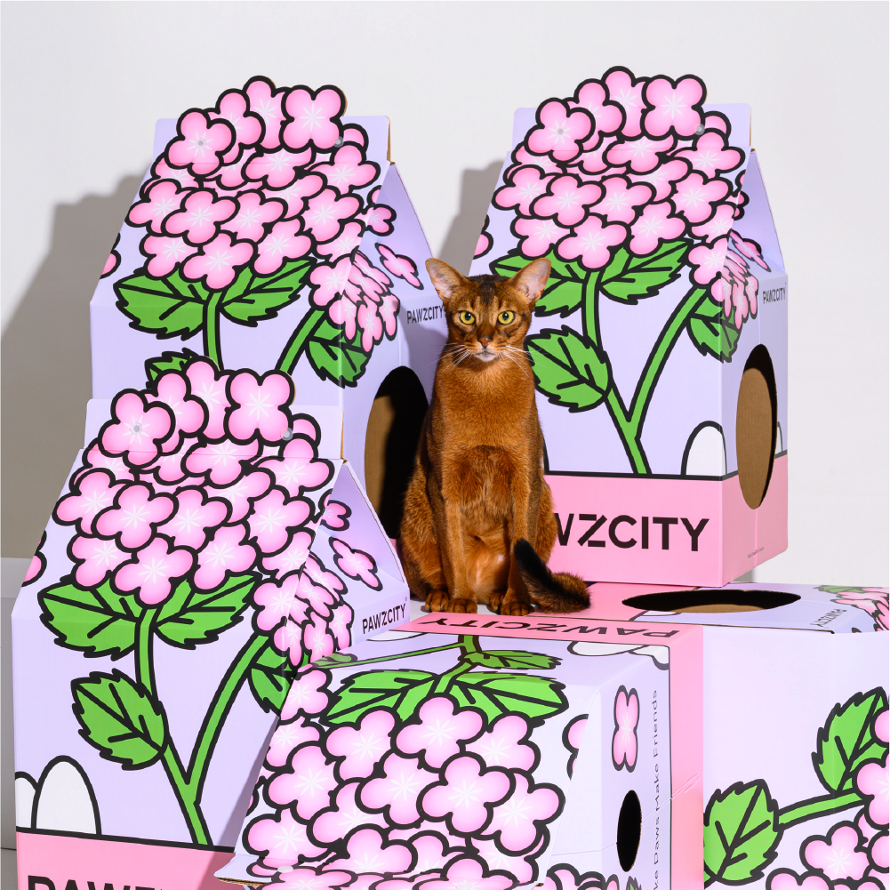 Bonsai MilkBox Cat House & Scratcher