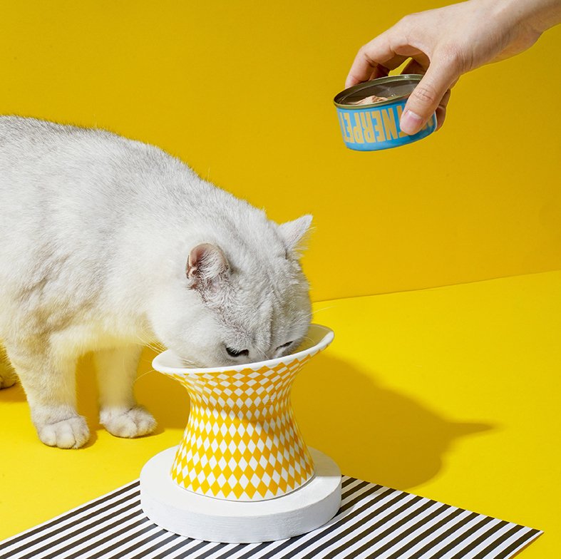 Elevated Ceramic Bowl Yellow Rhombus Pewos