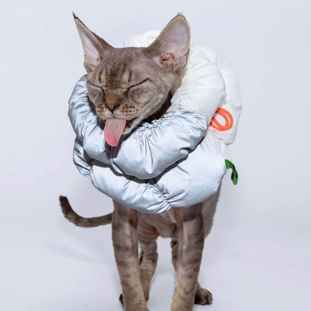 Cat wearing a soft, silver recovery E-Collar designed for comfort and effective wound protection. Ideal for post-surgery recovery, this stylish and functional Elizabethan collar ensures gentle support while allowing natural movement.