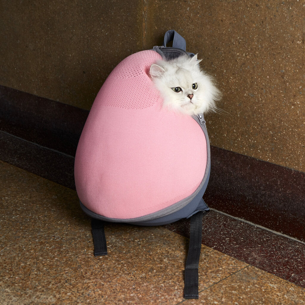 Stylish pink cat travel backpack with breathable mesh design, perfect for comfortable and secure pet outings. Ideal for cat owners seeking modern, functional, and fashionable travel accessories.