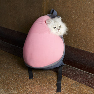 Stylish pink cat travel backpack with breathable mesh design, perfect for comfortable and secure pet outings. Ideal for cat owners seeking modern, functional, and fashionable travel accessories.