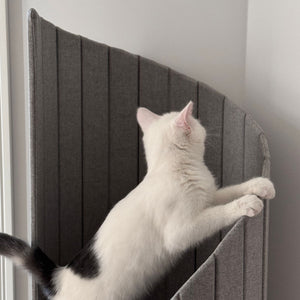 White kitten playing and scratching on the Time Travel Tower Cat Tree in Light Grey.