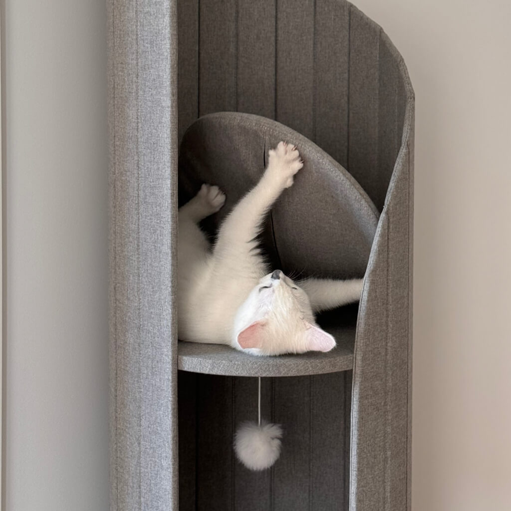 Cat lounging on padded platform inside Time Travel Tower Cat Tree in Light Grey, with dangling pompom toy.