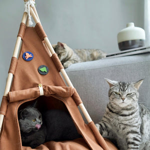 Two cats lounging near the Boho Chic Pet Tent, featuring playful felt decorations and a comfortable interior, perfect for modern pet owners looking to add style to their home.