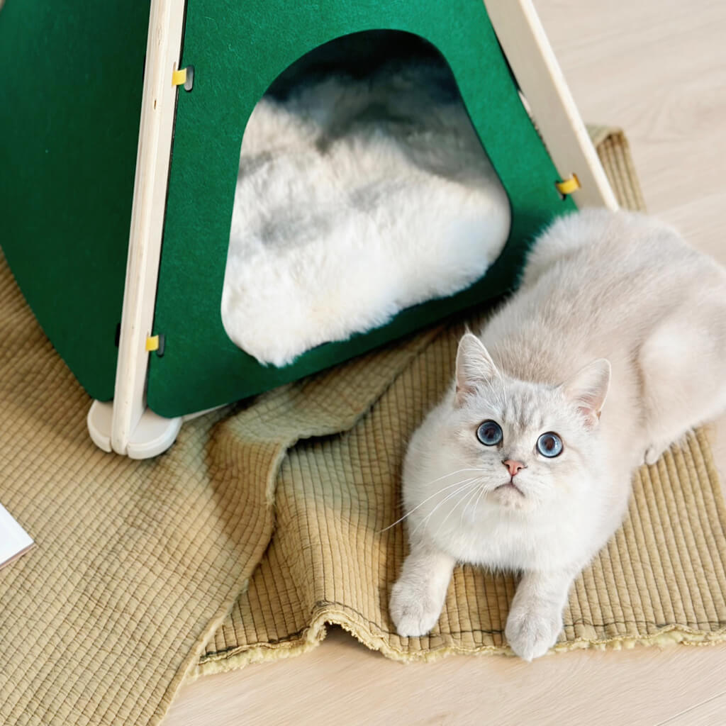 Cozy Green Felt Cat Tent Pet Teepee with Soft Cushion for Cats Sma Pewos