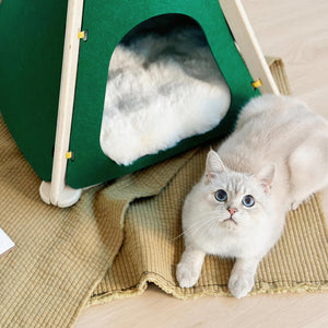 A fluffy beige cat lying down next to a green pet tent with a fluffy cushion inside.