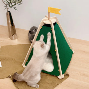 Two cats playing with each other around a green felt pet tent.