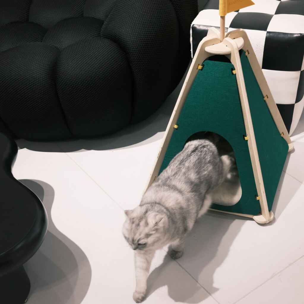 A grey tabby cat emerging from a green felt pet tent in a contemporary living room.