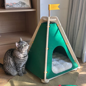 A tabby cat sitting next to a green felt tent, looking up in a sunny room.