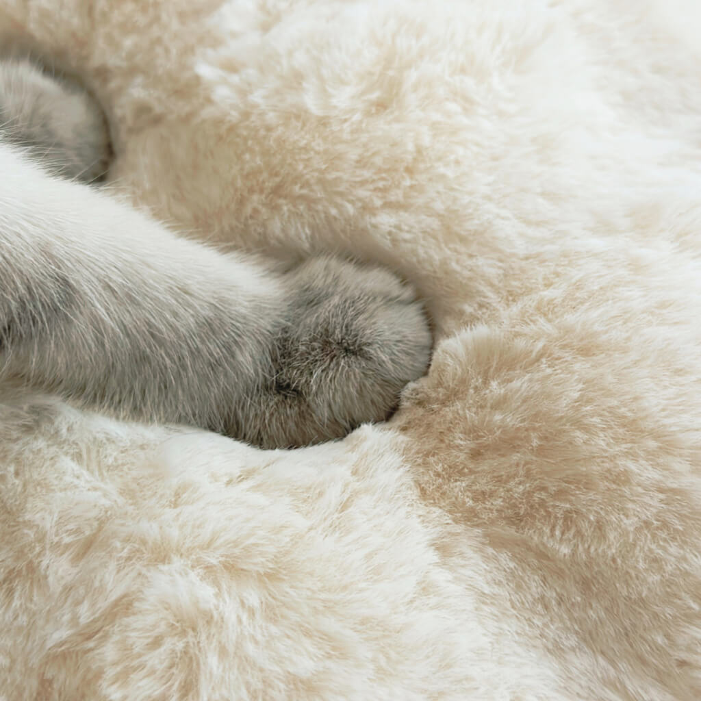 Close-up of a fluffy cat paw resting on a soft, white faux rabbit fur cushion.