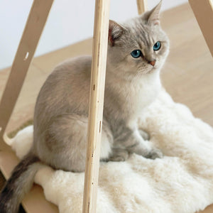  A fluffy beige cat sitting inside the green felt pet tent on a fluffy cushion.