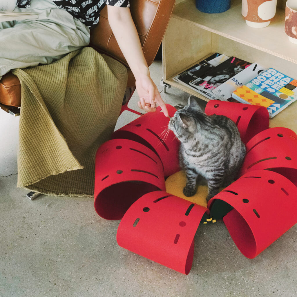 Cat interacting with owner while relaxing in the red flower-shaped cat bed with felt petal tunnels.