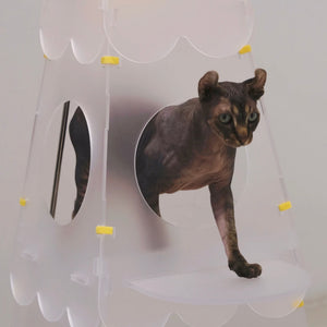 Cat climbing through the middle level of the Lighthouse Cat Tower, enjoying the playful spaces.