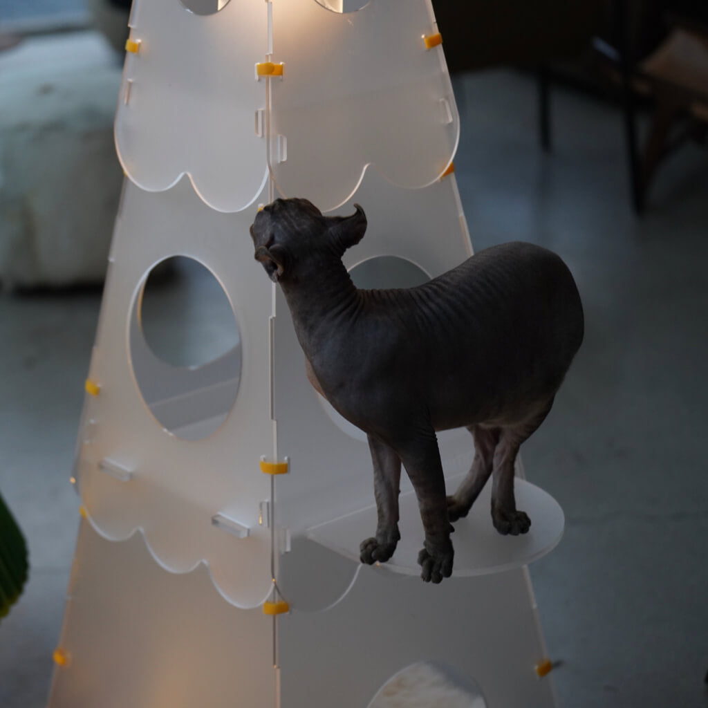 Cat inspecting the glowing LED light on the top of the Lighthouse Cat Tower, combining play and home decor.