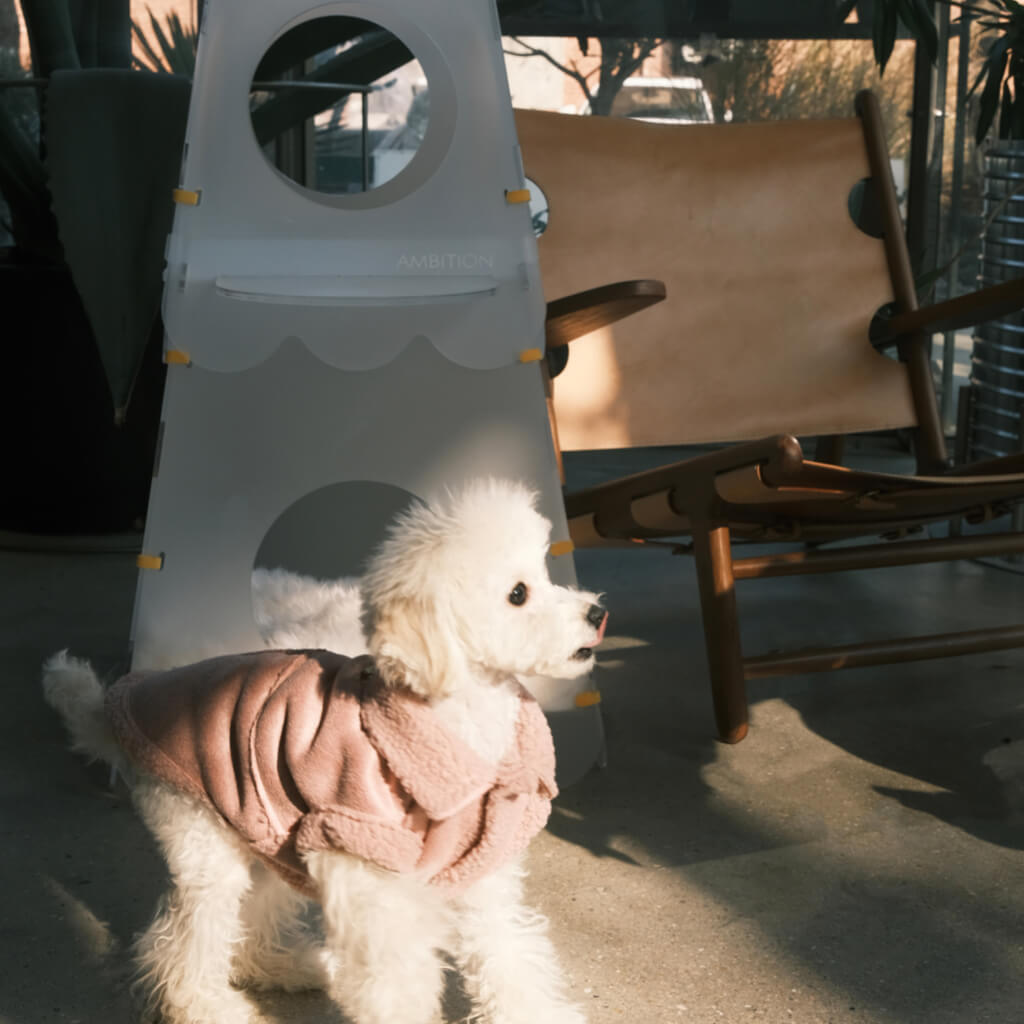 Small dog standing near the Lighthouse Cat Tower and Floor Lamp, blending multifunctional furniture with modern home decor.