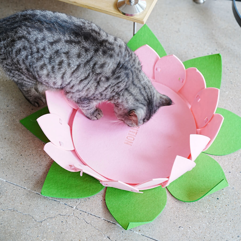Curious gray tabby cat exploring the pink Lotus Flower Felt Pet Bed with green leaf details; unique cat furniture made from cozy, durable felt.