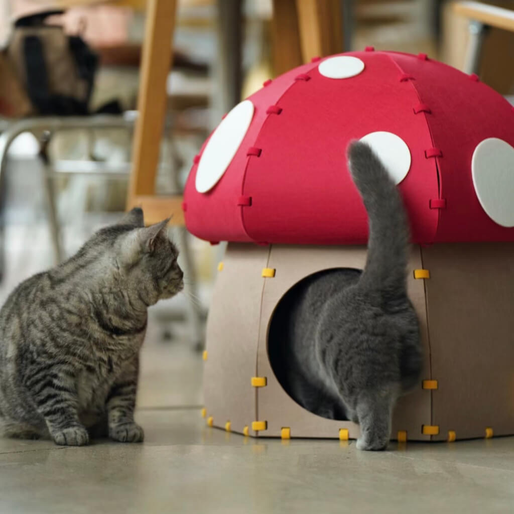 Two cats exploring the Mushroom Felt Cat Cave, highlighting its spacious design for multi-cat use.