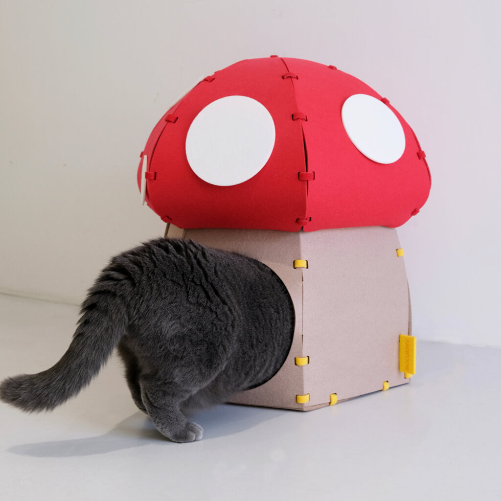 Cat entering the Mushroom Felt Cat Cave, showing the large entrance for easy access.