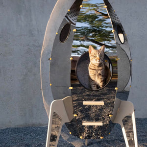 Feline enjoying the view from the Rocket Cat Tower's concealed cat door.