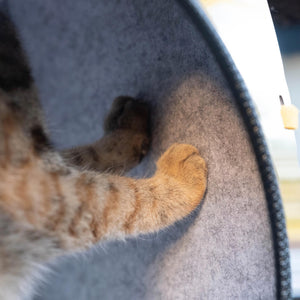 Interior view of the Rocket Cat Tower’s soft, padded interior for feline comfort.