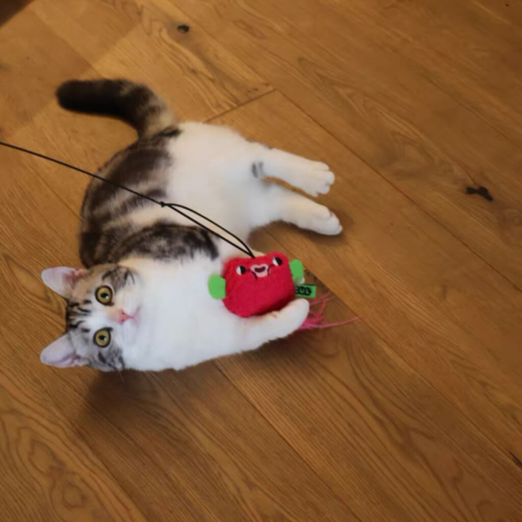 Cute cat lying on the floor while holding a pink plush cat wand attachment, demonstrating playful engagement.