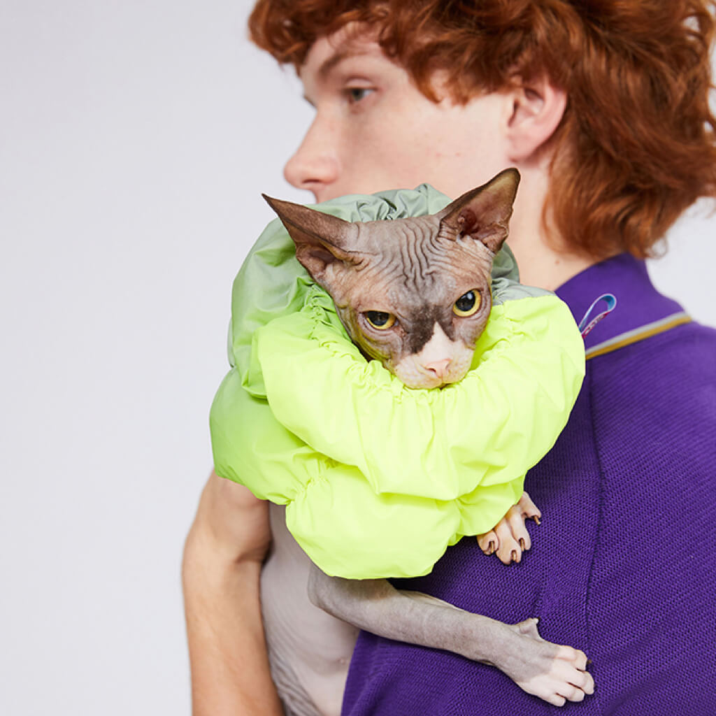 Close-up of a pet wearing the Fashion-Function Pet E-collar in Fluo and Green, showing its bright colors and padded design.