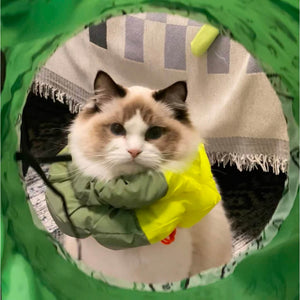 Close-up of the Fashion-Function Pet E-collar in Fluo and Green, demonstrating the sleek and functional design.