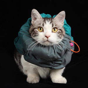 Stylish pet wearing the Fashion-Function Elizabeth Neuter Collar with wrap-around design for comfortable post-surgery recovery.