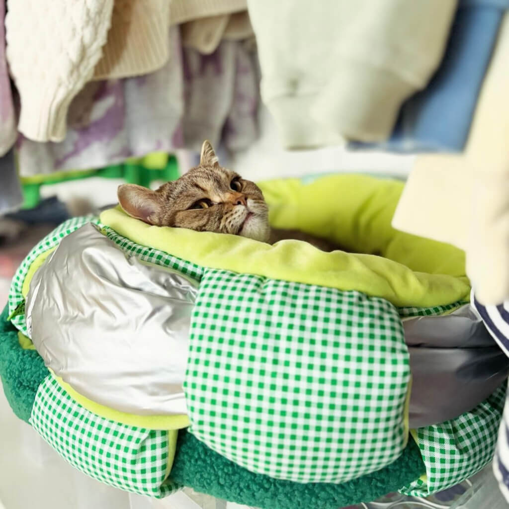 A tabby cat looks relaxed while sitting in the woven-style fleece cat bed. The bed’s lime-green inner cushion and the surrounding checkered and silver fabric are visible, with soft clothing and textiles in the background adding to the cozy atmosphere.