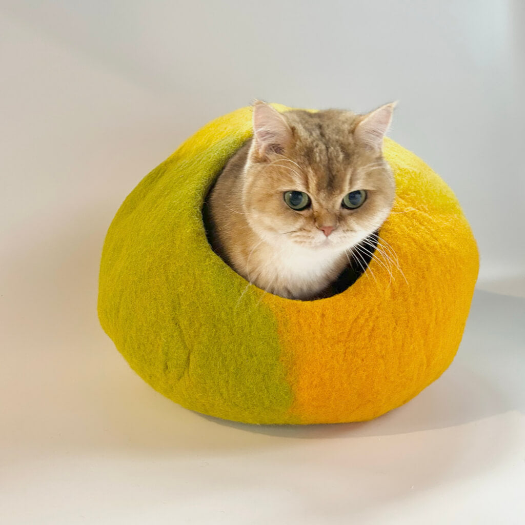 Cat inside Amalfi Lemon wool felt cat cave — two-tone yellow and green enclosed cat bed for cozy hideaway.