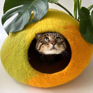 Tabby cat peeking from Amalfi Lemon felt cat cave next to plant; nature-inspired yellow-green gradient cat house.