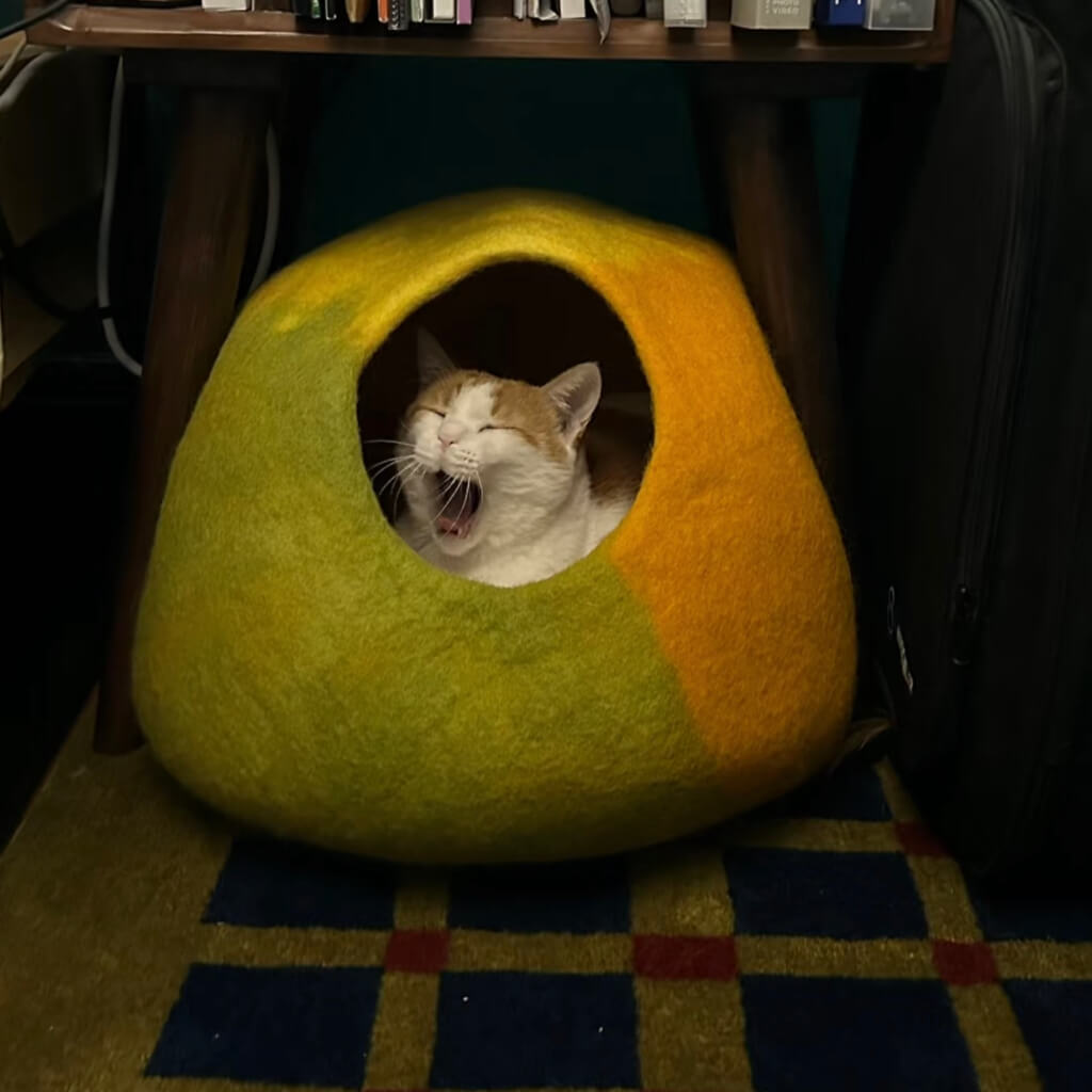 Cat yawning from Amalfi Lemon felt cat cave placed under table; cozy enclosed cat house for restful sleep.