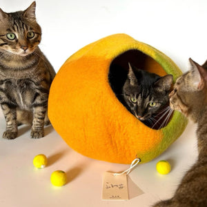 hree cats with Amalfi Lemon wool felt cave and felt balls; spacious hideaway ideal for multi-cat homes.