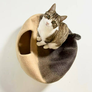 Top view: cat sitting on Beige Mochi wool felt cat cave — beige-to-cocoa gradient modern enclosed cat bed.