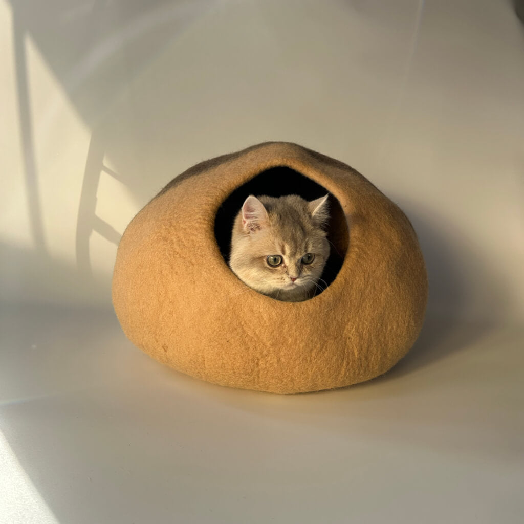 Cat lounging on Beige Mochi wool felt cat cave — durable shape-holding felt, minimalist hideaway.