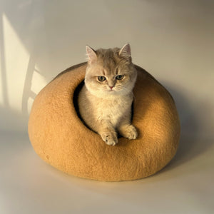 Studio shot: kitten inside Beige Mochi wool felt cat cave — warm, soft, modern enclosed cat bed.