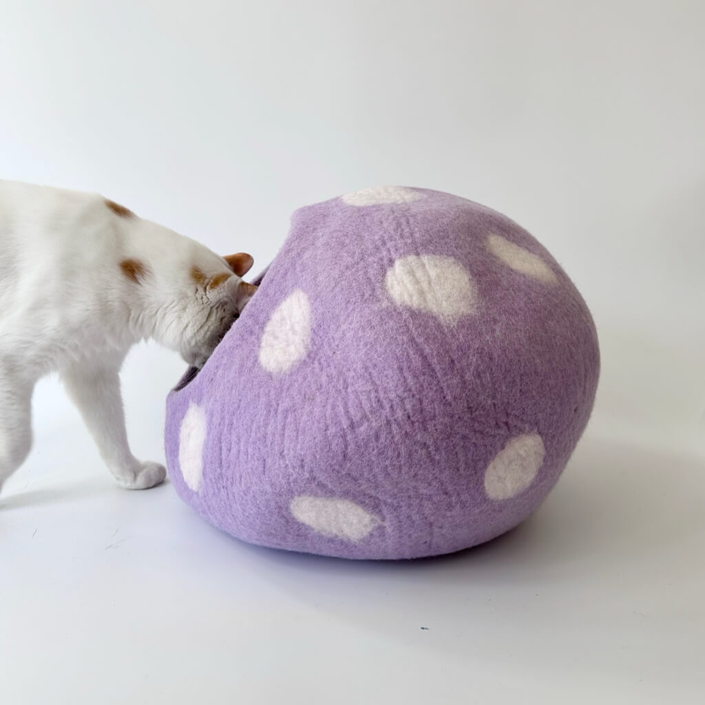 Cats interacting with the purple felted hideaway bed