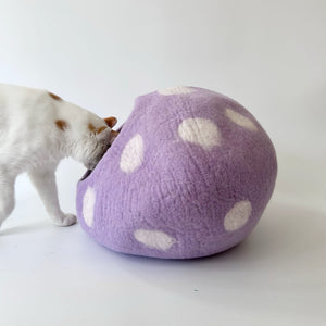 Cats interacting with the purple felted hideaway bed