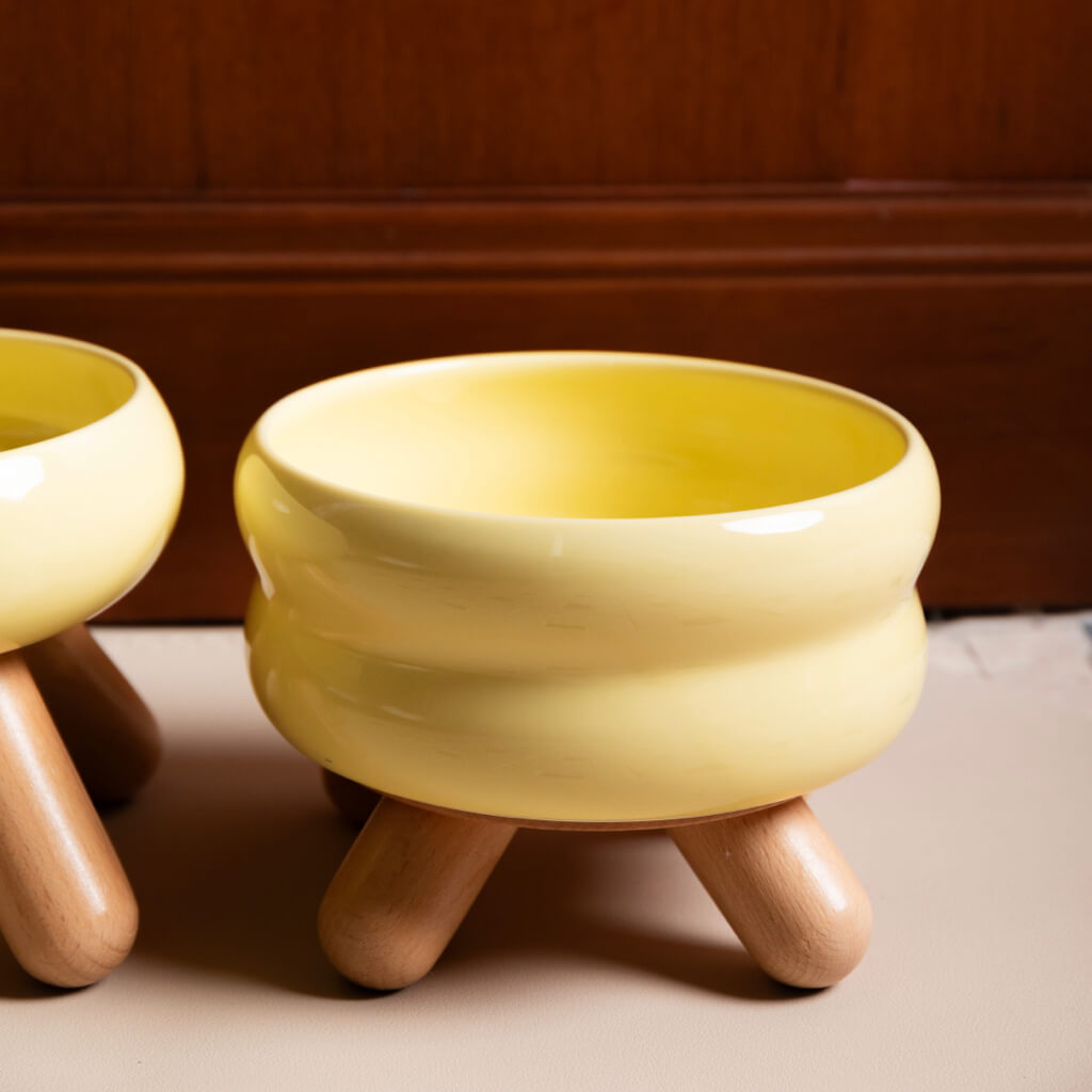 Stylish Raised Ceramic Pet Bowls Water in Cheese Yellow for Cats and Small Dogs