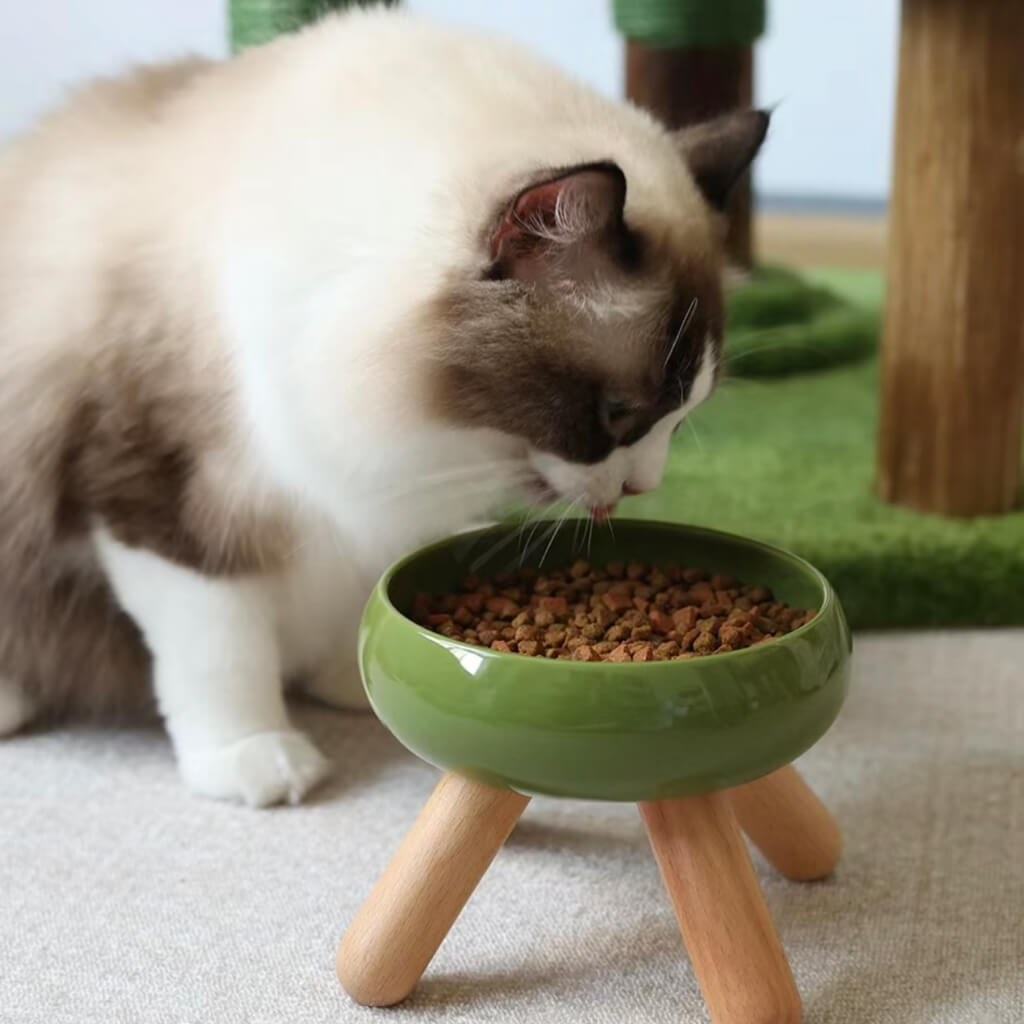 Gulu Ceramic Pet Bowl - Pine Green