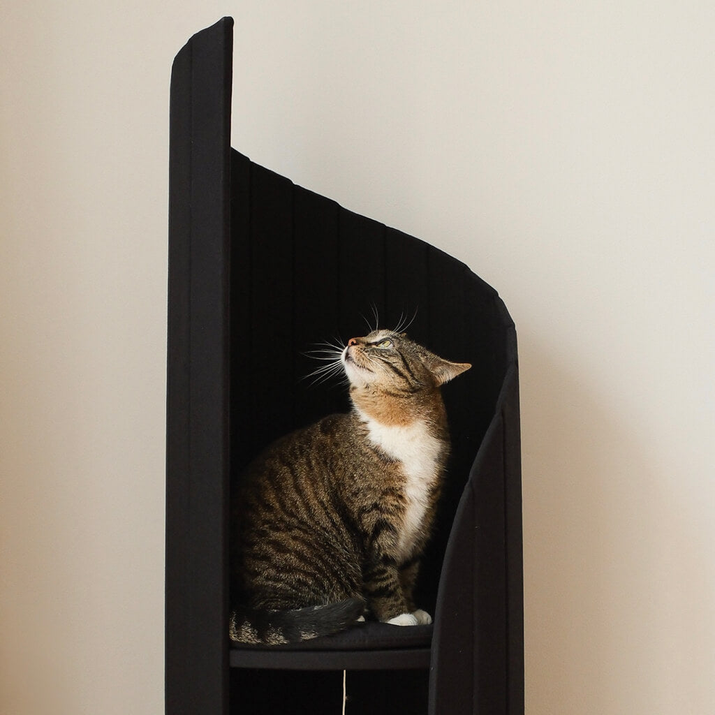 Close-up of a tabby cat looking up inside the black Meoof Time Travel Cat Tower. Elegant, modern cat furniture for stylish homes.