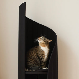 Close-up of a tabby cat looking up inside the black Meoof Time Travel Cat Tower. Elegant, modern cat furniture for stylish homes.
