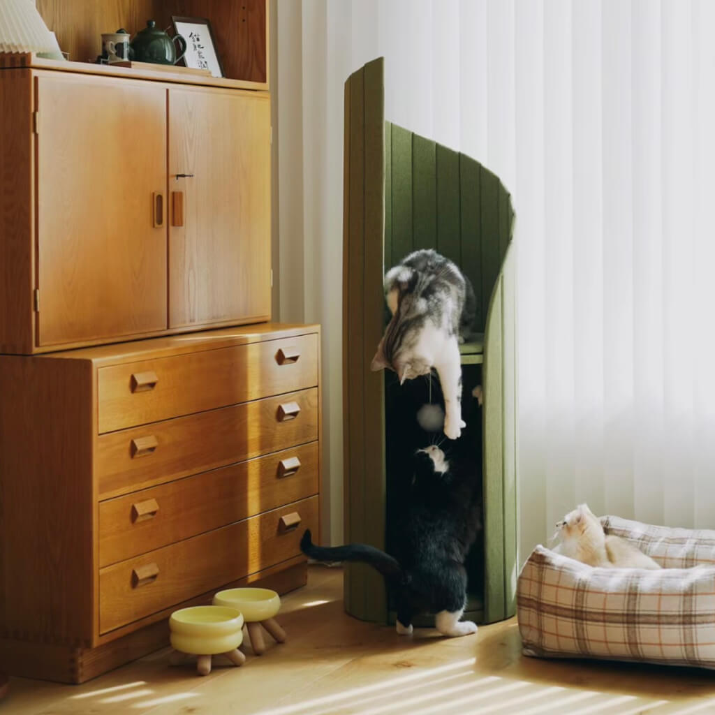 Two cats playing on the Pine Green Time Travel Cat Tower next to a wooden cabinet and a cozy plaid pet bed, showcasing the tower’s interactive design.