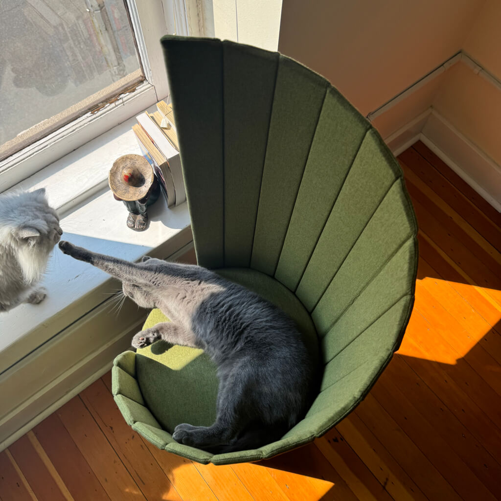 Grey cat lounging in the upper section of the Pine Green Time Travel Cat Tower, playfully interacting with a white cat near a sunny window.