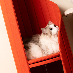 A fluffy, long-haired white and grey cat is lounging comfortably on the padded top platform of the red Time Travel Cat Tower, resting its head against the side of the spiral design. The image highlights the tower's plush cushioning and pet-friendly structure.