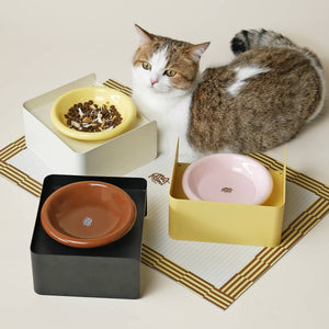 Cat next to metal pet bowl stands in black, white, and yellow with shallow ceramic dishes – dual-height minimalist feeder for cats and dogs.